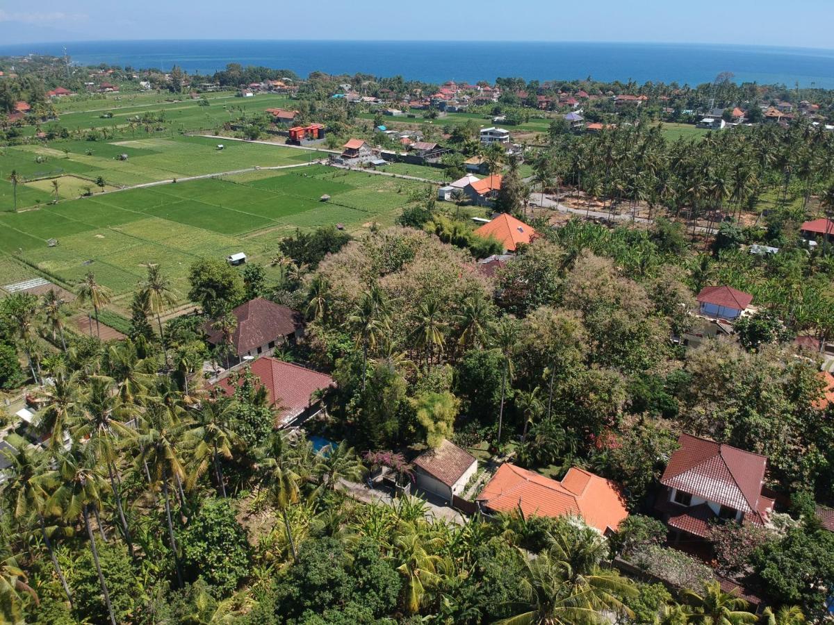 Villa Kelapa Lovina Eksteriør billede